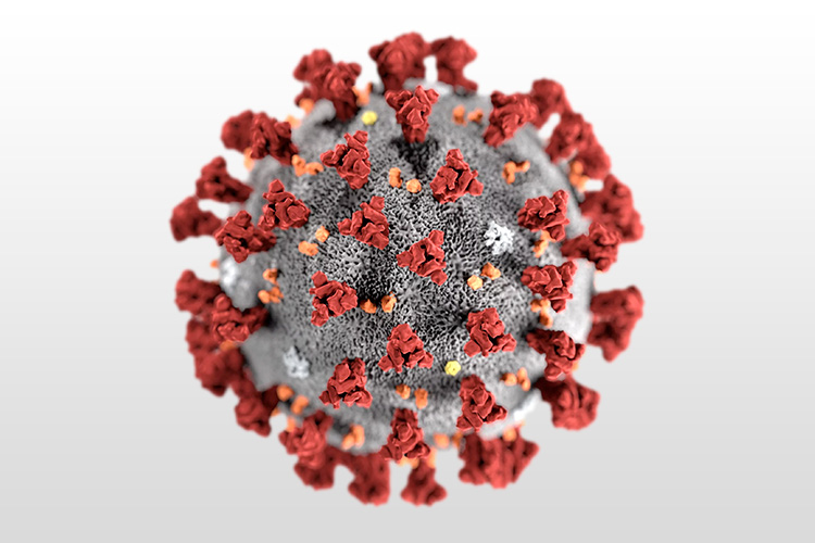 Coronavirus